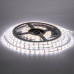 Led лента 12В белая smd2835 120LED/m IP65, 1м