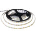 Led лента 12В белая smd2835 120LED/m IP65, 1м