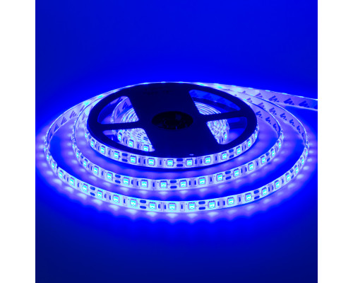 Led лента 12В синяя smd5050 60LED/m IP65, 1м